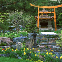 Japanese Style Landscaping